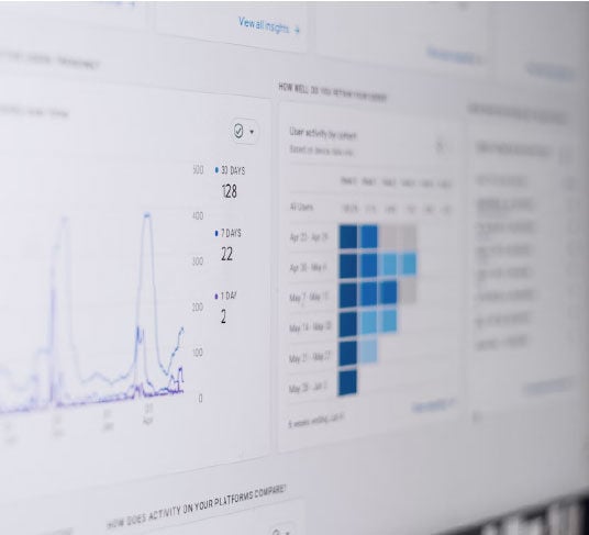 website-insights website-insights